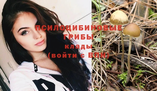 экстази Беломорск