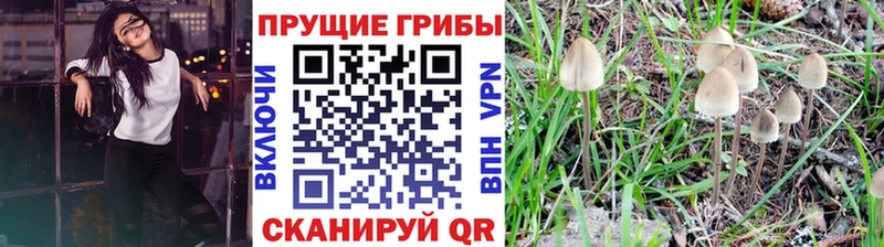 как найти закладки  мега зеркало  Галлюциногенные грибы прущие грибы  Минеральные Воды 